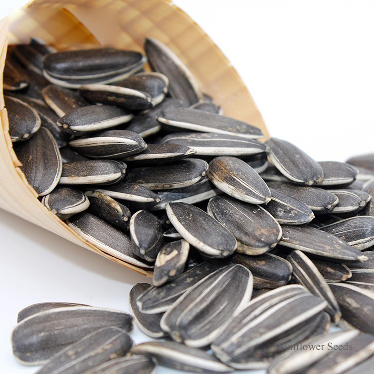 Sunflower Seeds